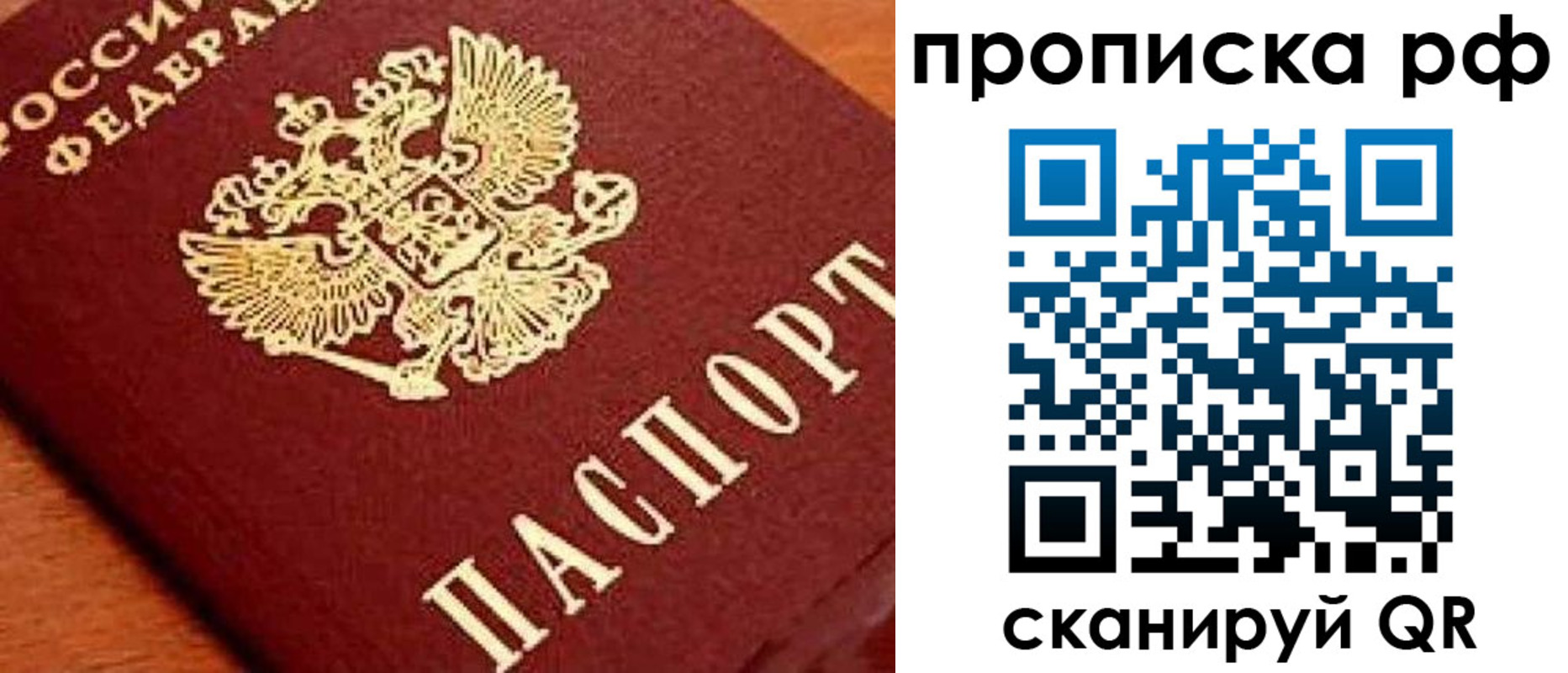 прописка законно в Ртищево